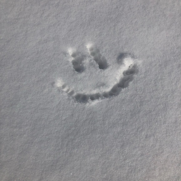 Meet your Posher, Joshua - Picture 1 of 1